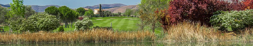 Gambito Golf Calatayud — campo de golf