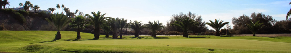 FINAL Liga Novatos "BMW San Rafael Motor"