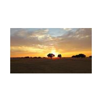 II PRUEBA CIRCUITO P&P