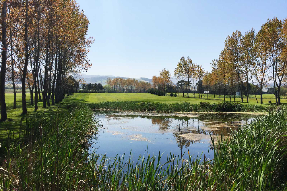 LIGA CASTROPOL GOLF Jornada 7