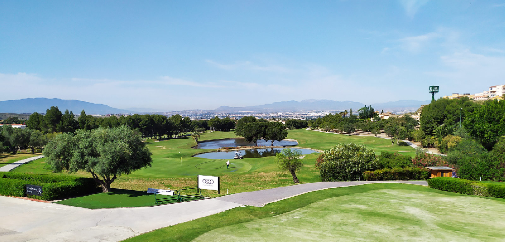 IV Superliga Región de Murcia