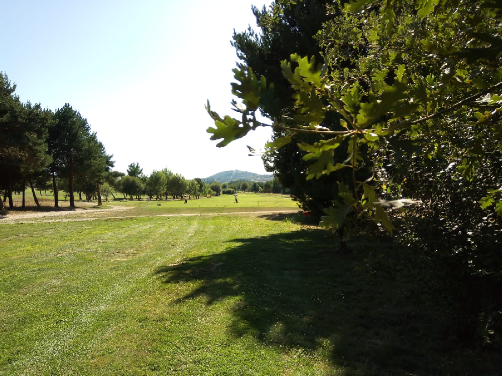 TORNEO DE LOS RESTAURANTES