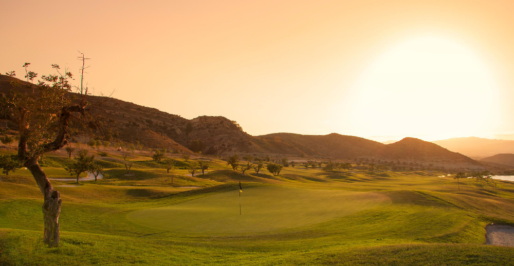 White Coast Individual Stableford
