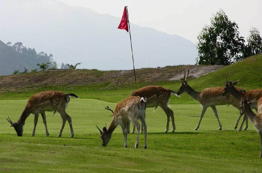 PGASTUR - I TORNEO OM 2026