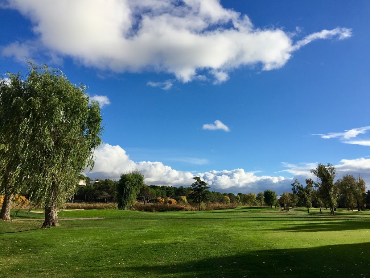 Torneo Senior Damas "Lomas-Bosque"