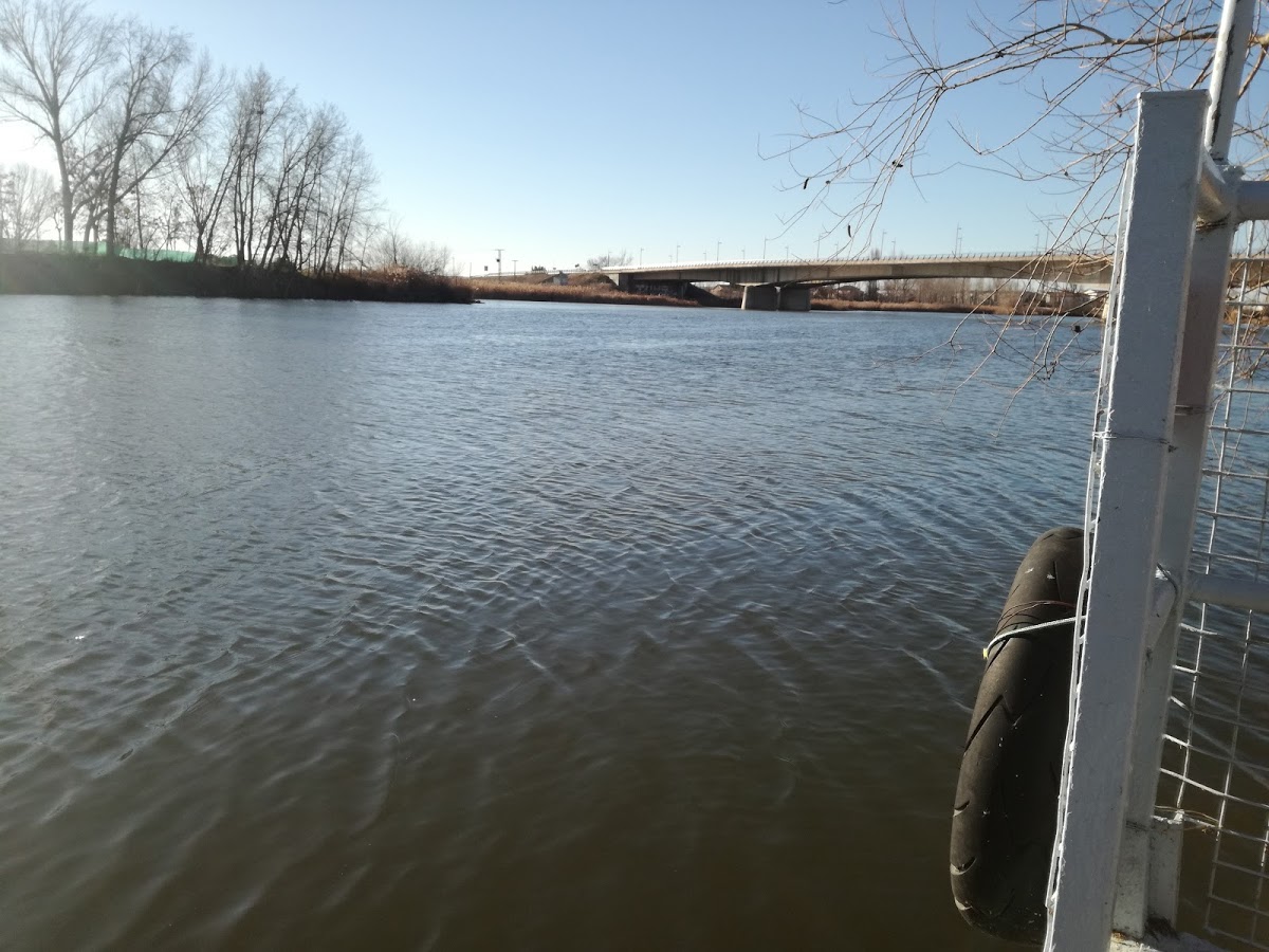 IMPERMEABILIZACIONES ZAMORA