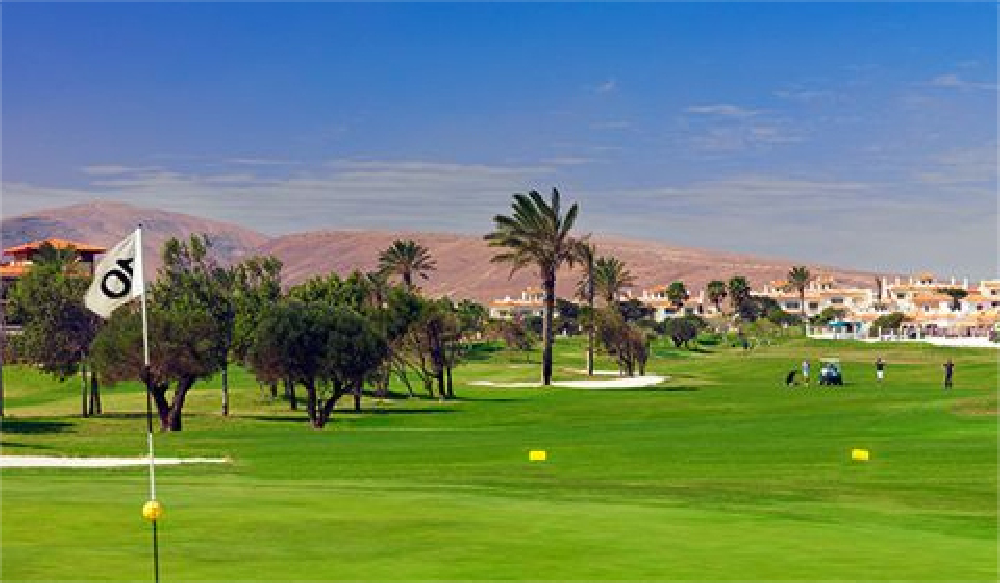 VII Prueba Circuito Regional Amateur (INSCRIPCIÓN PROFESIONALES)