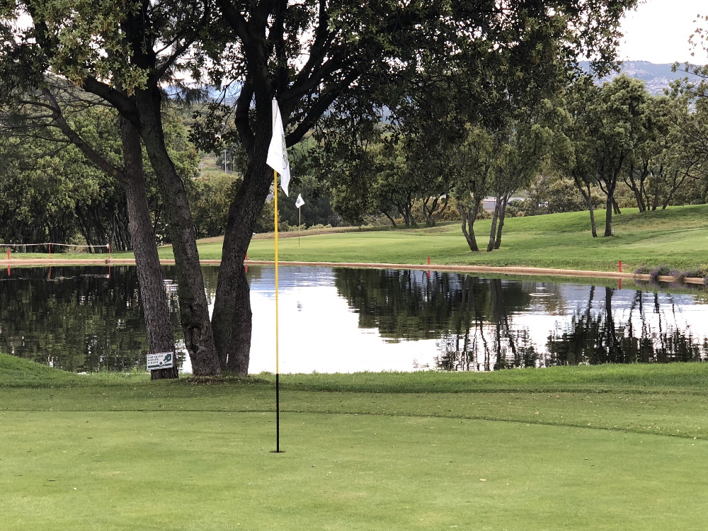Torneo de 1ª Categoría Pitch & Putt Masculino y Femenino "Green Paddock"