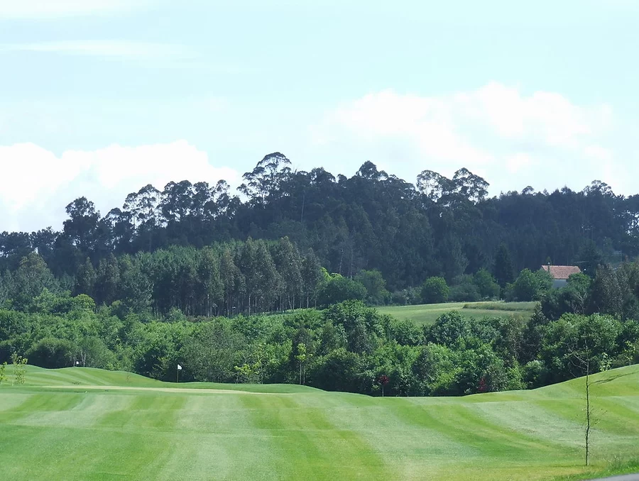 2ª LIGA SENIOR 2025-26 -  6ª PRUEBA