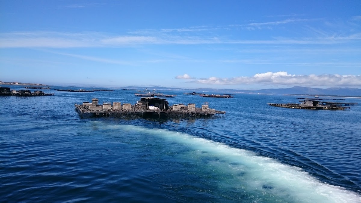 Campeonato de Galicia Individual Femenino Mid-Amateur y Sénior