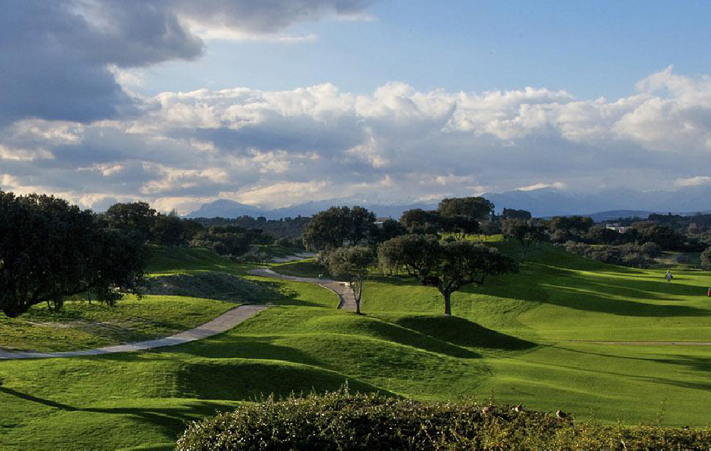 Torneo Senior Damas "RSHECC"