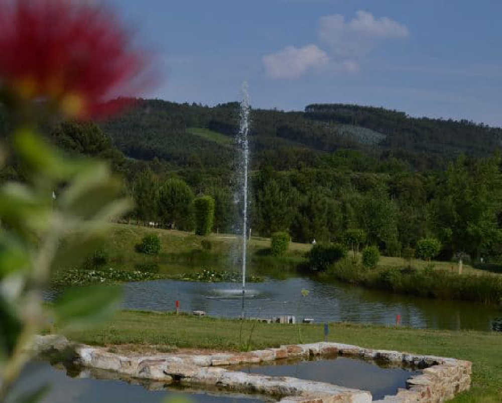 Aero Santiago Campeón Ruta do Viño